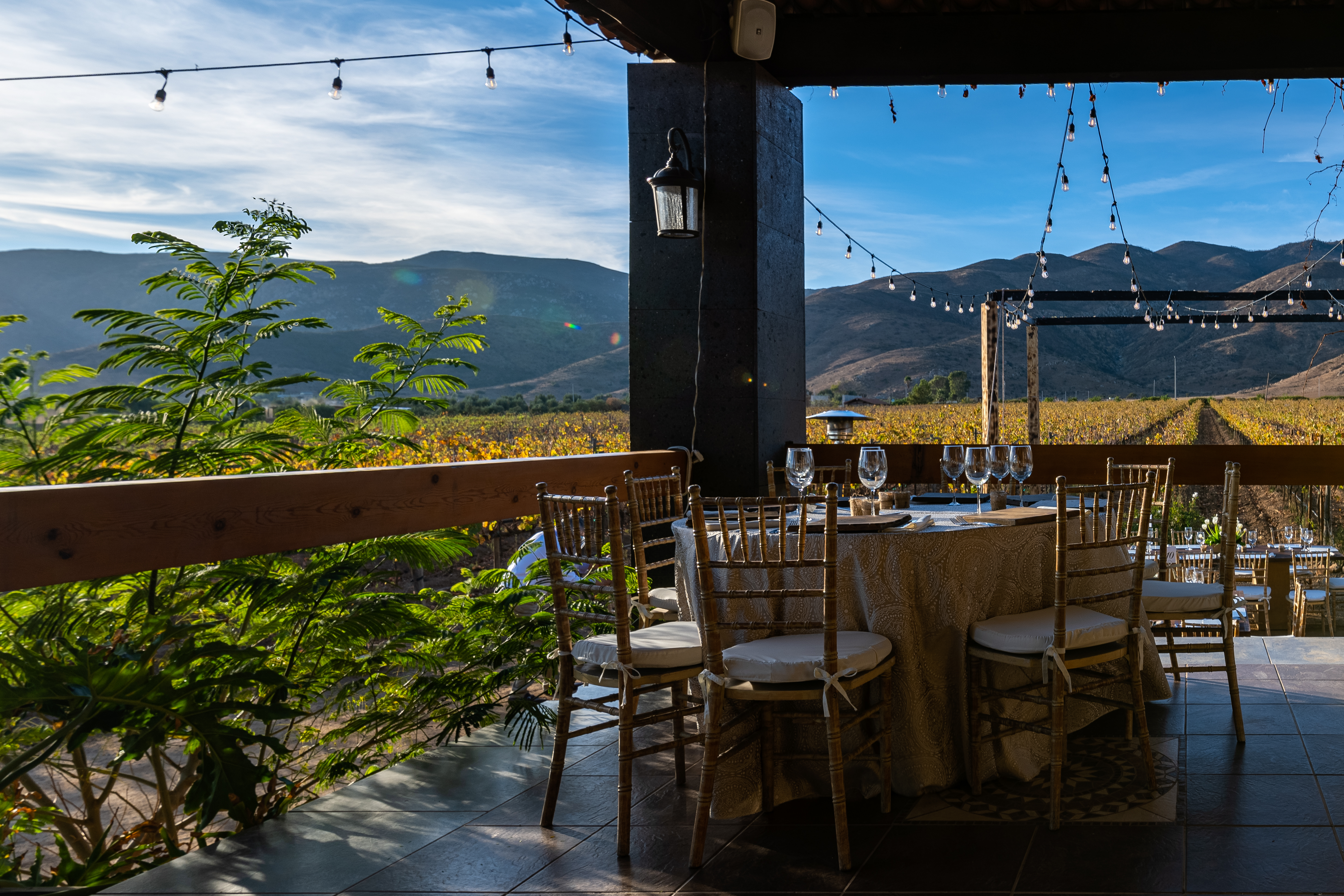 Copa de vino en Casa Emiliana